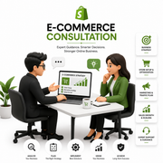 E-commerce Consultation